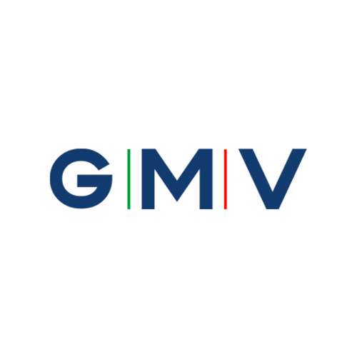 024-GMV-Medical